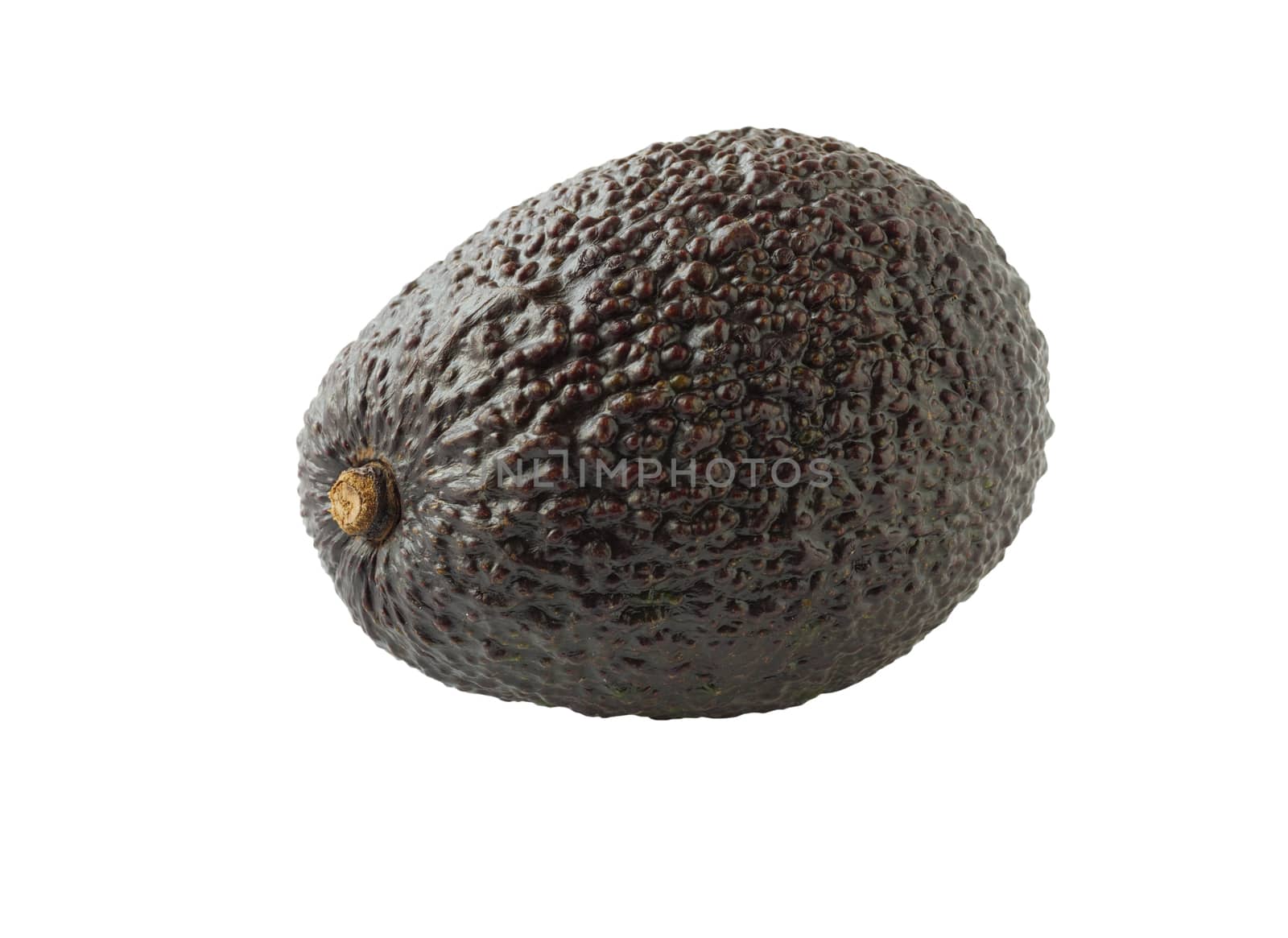 Avocado isolated on white background, closeup of avocado.