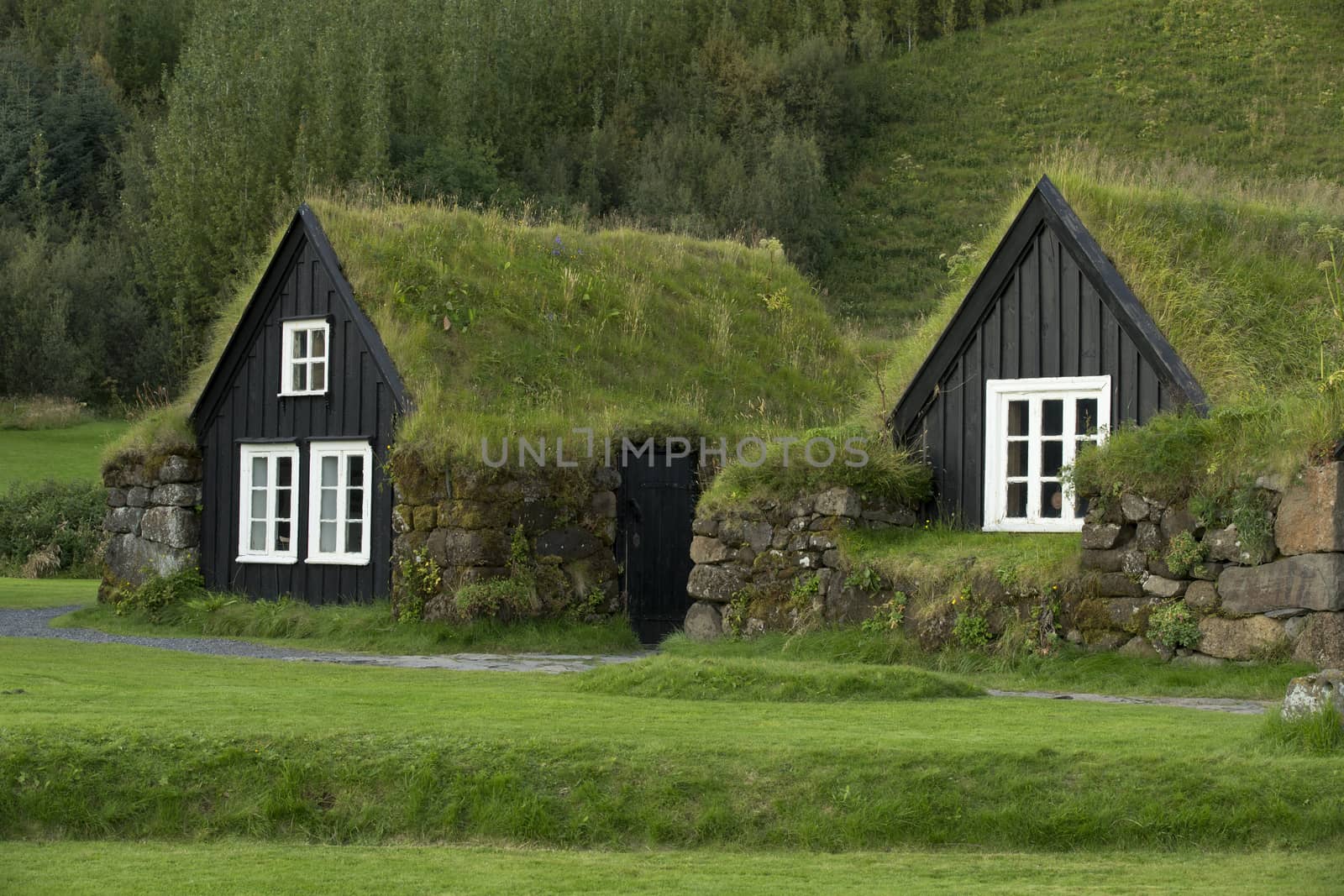 Tipical icelandic houses with roofs covered by ground and grass.