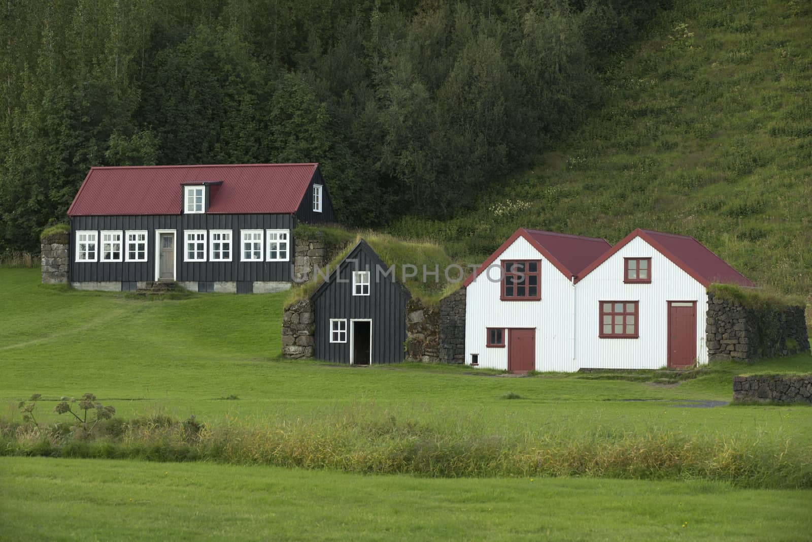 Tipical icelandic houses with roofs covered by ground and grass.