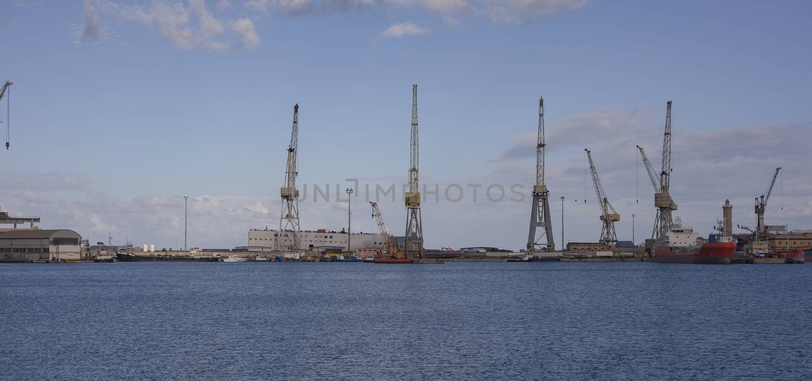 Cranes at the port 3 by pippocarlot