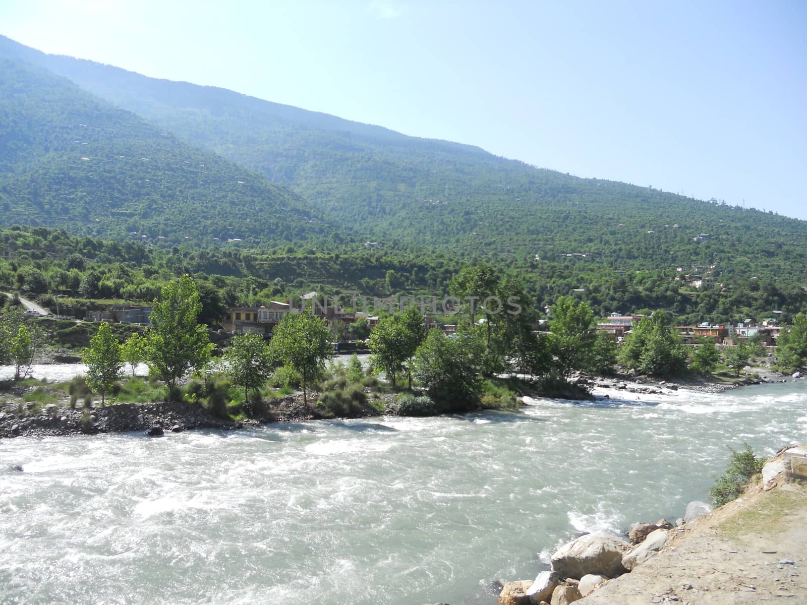 a nature scenery near the water stream