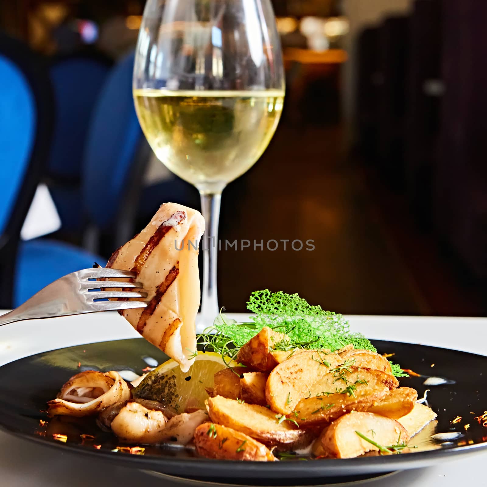 Grilled squid with salad. Shallow dof