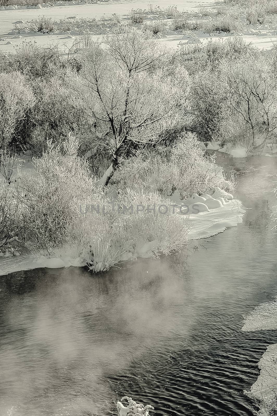 Winter sunny landscape with river and forest.