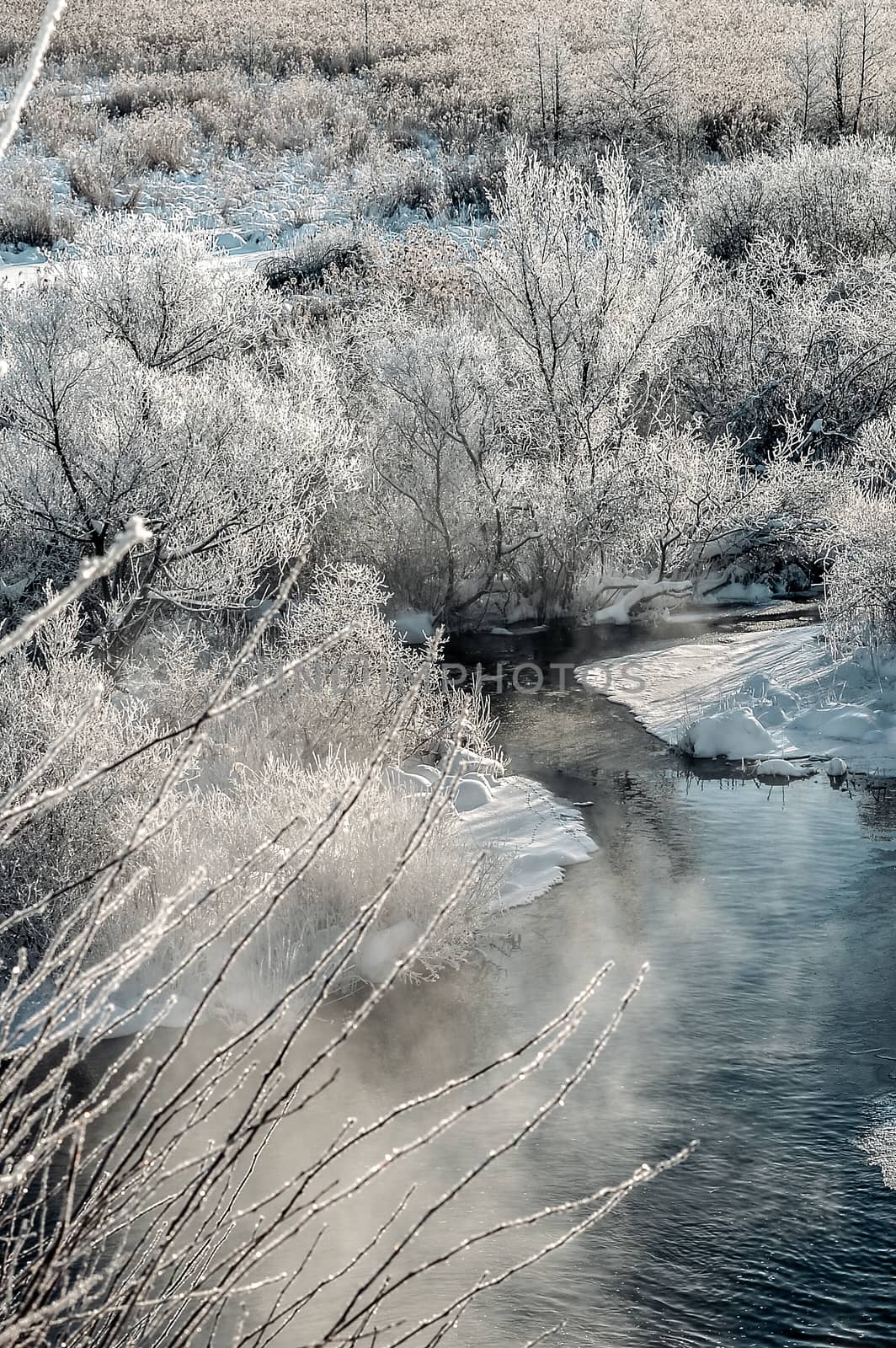 Winter sunny landscape with river and forest.