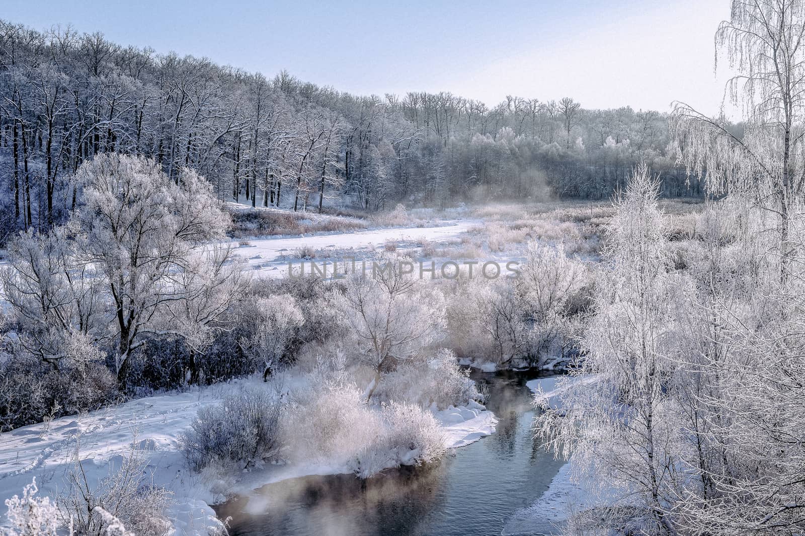 Winter sunny landscape with river and forest.