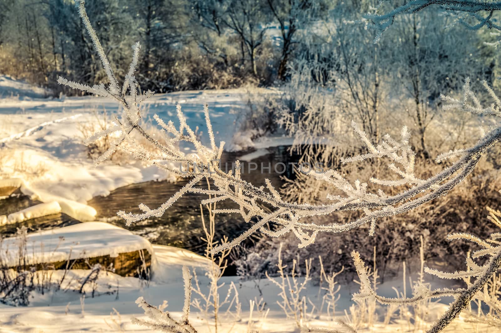 Winter sunny landscape with river and forest.