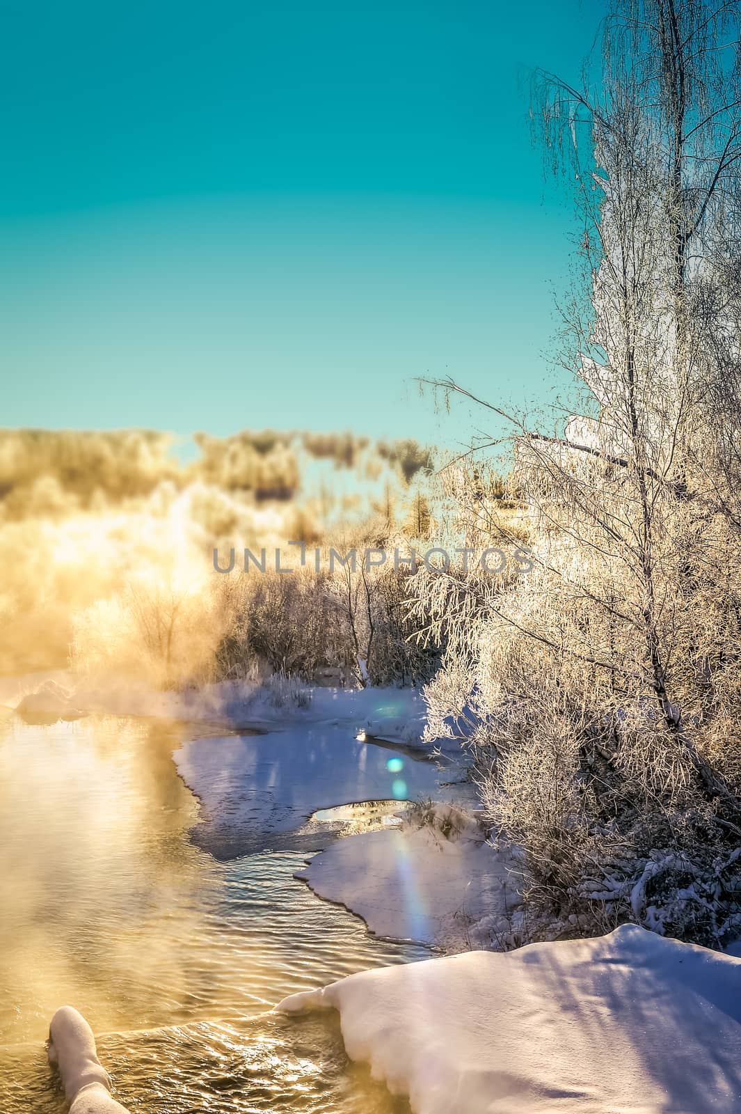 Winter sunny landscape with river and forest.