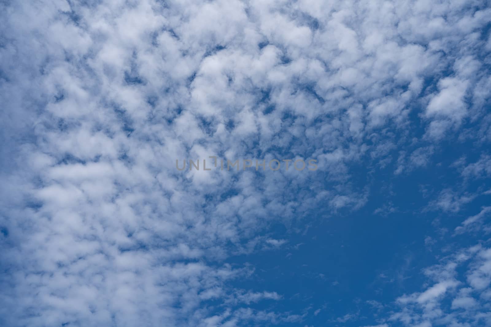The Blue sky with cloud. Beautiful natural of sky abstract or background.