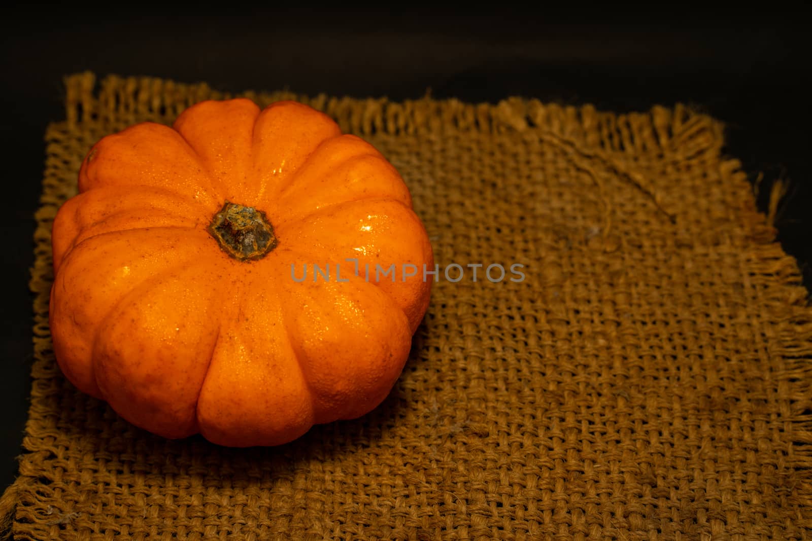 The Fresh Orange pumpkin on sack with space for put the text