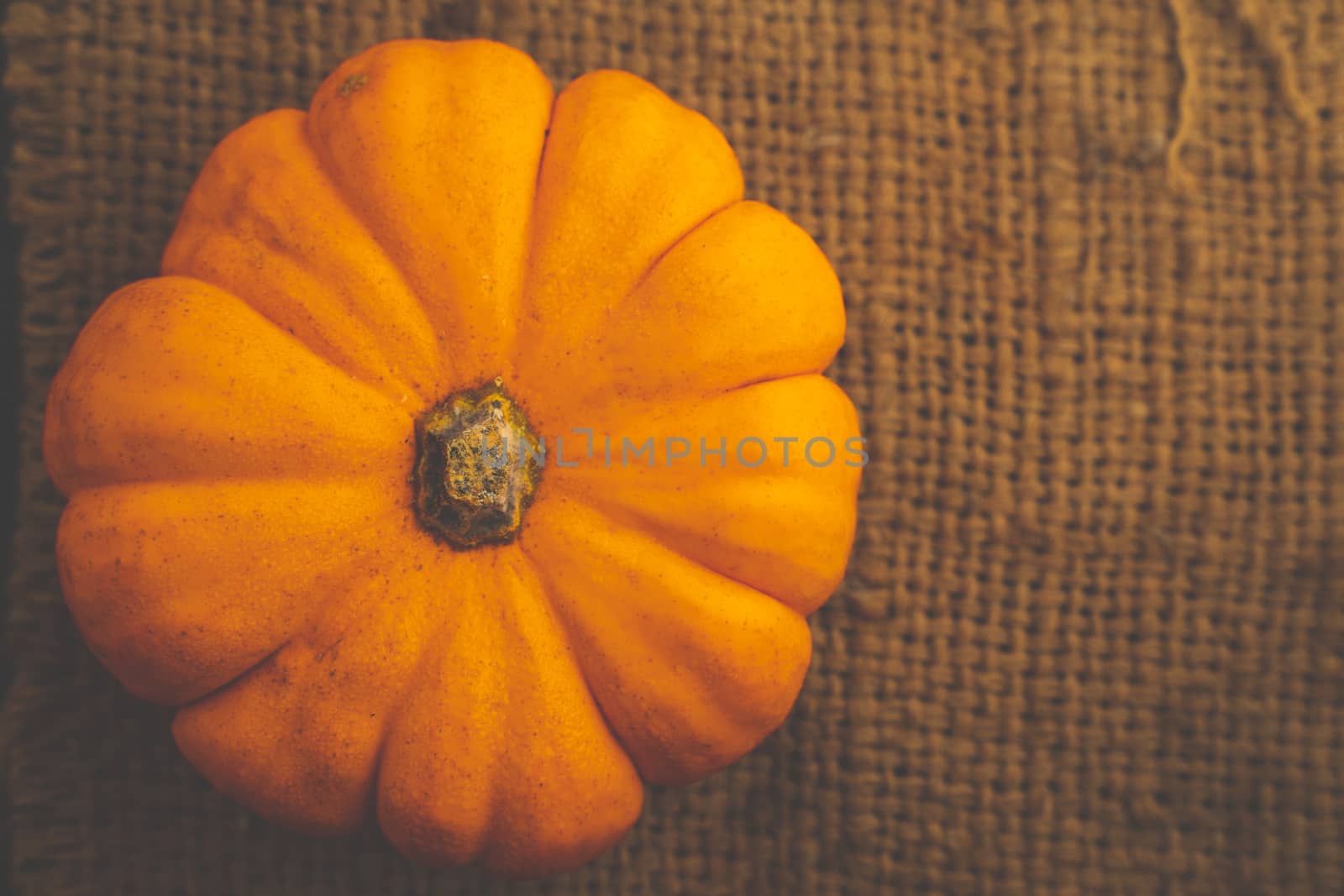 The Yellow Fresh pumpkin on sack with space for put the text
