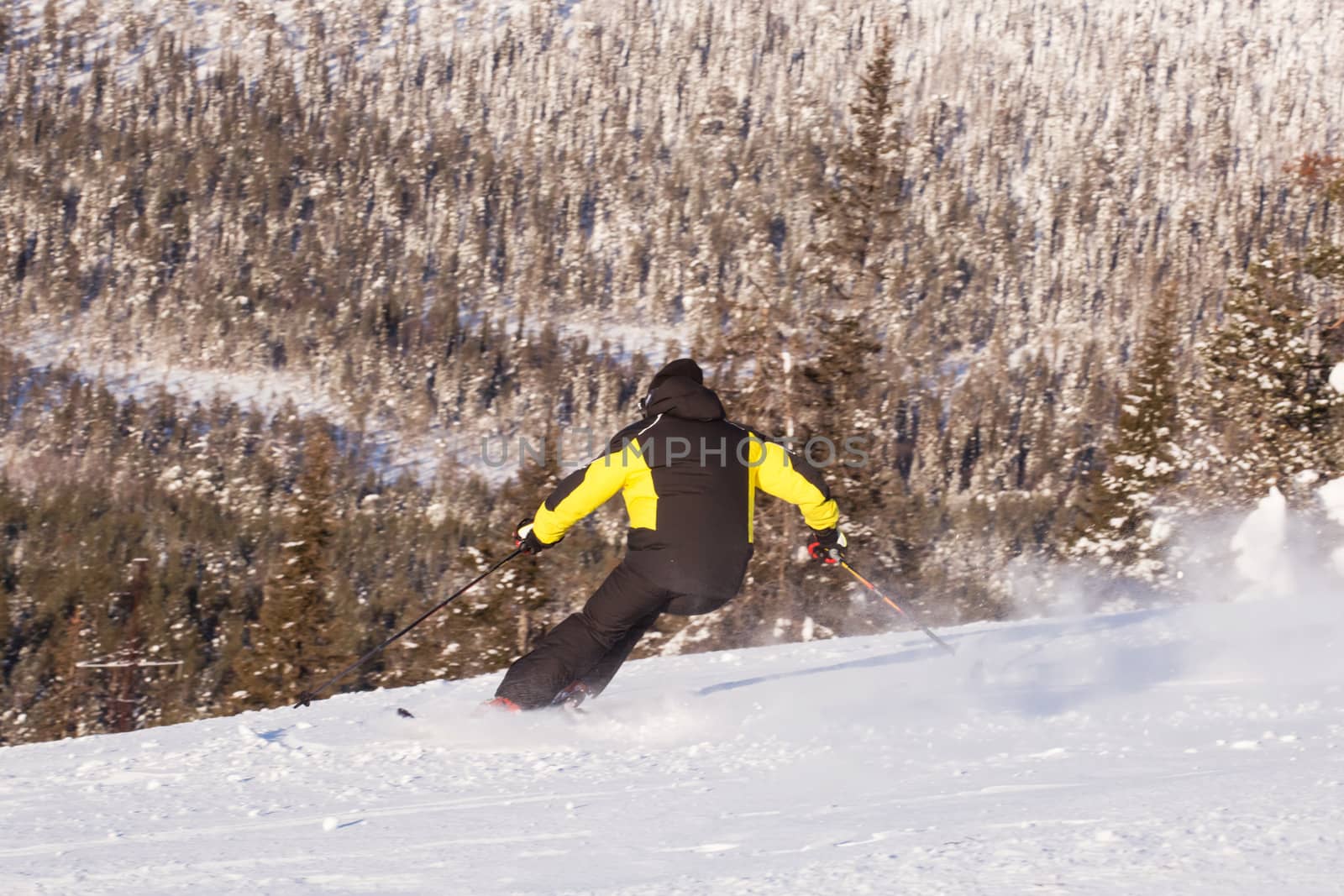 Skier in mountains, prepared piste and sunny day