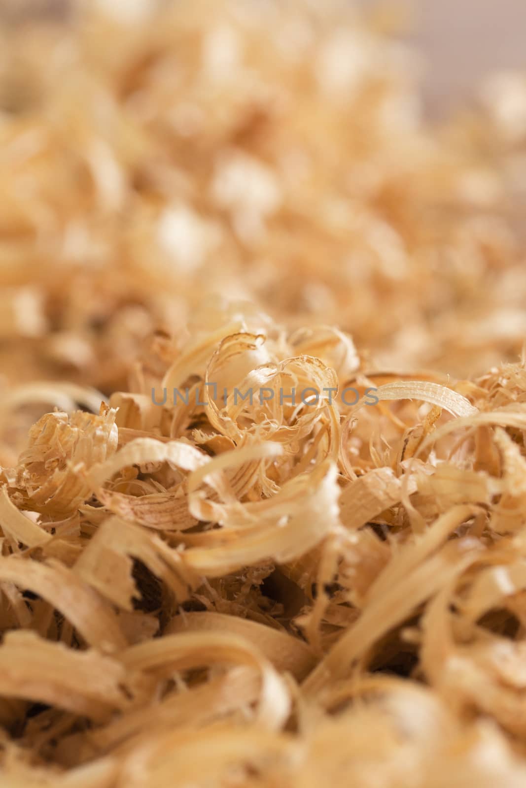 Close up view on wood shavings.