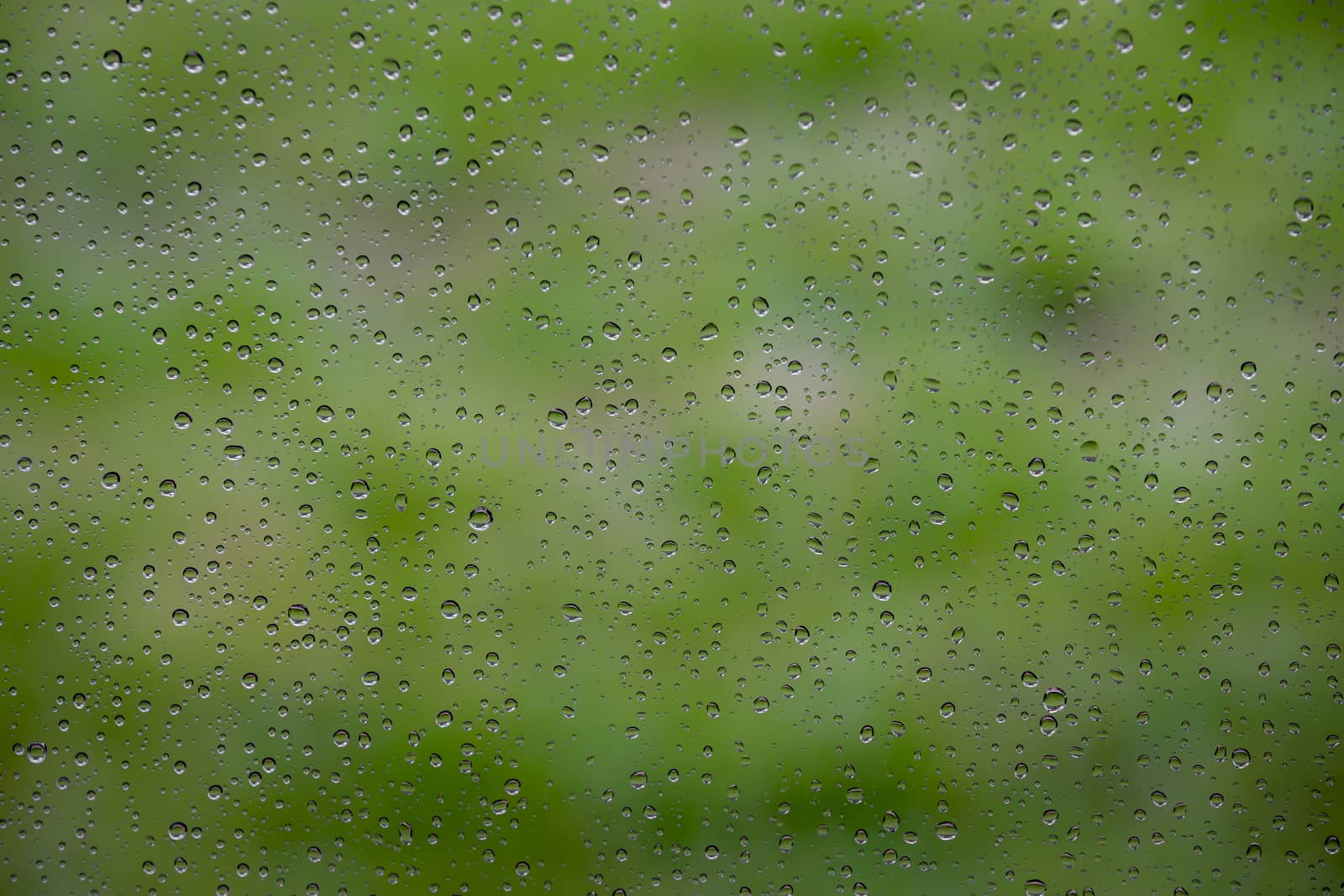 Water drops on window glass. by GeorgeVieiraSilva