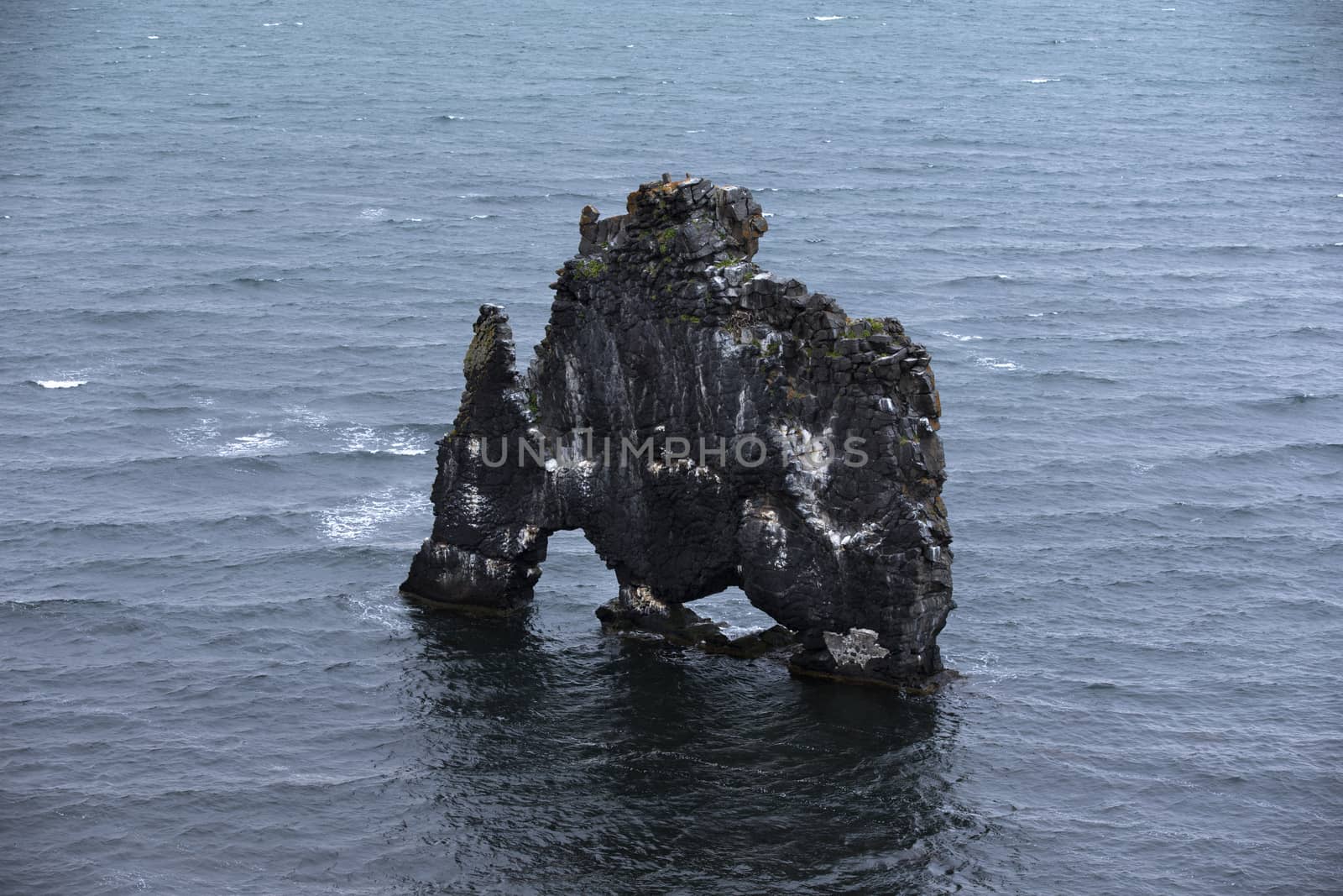 Drinking dragon, exposed rock in Iceland, seashore of the Atlantic ocean.