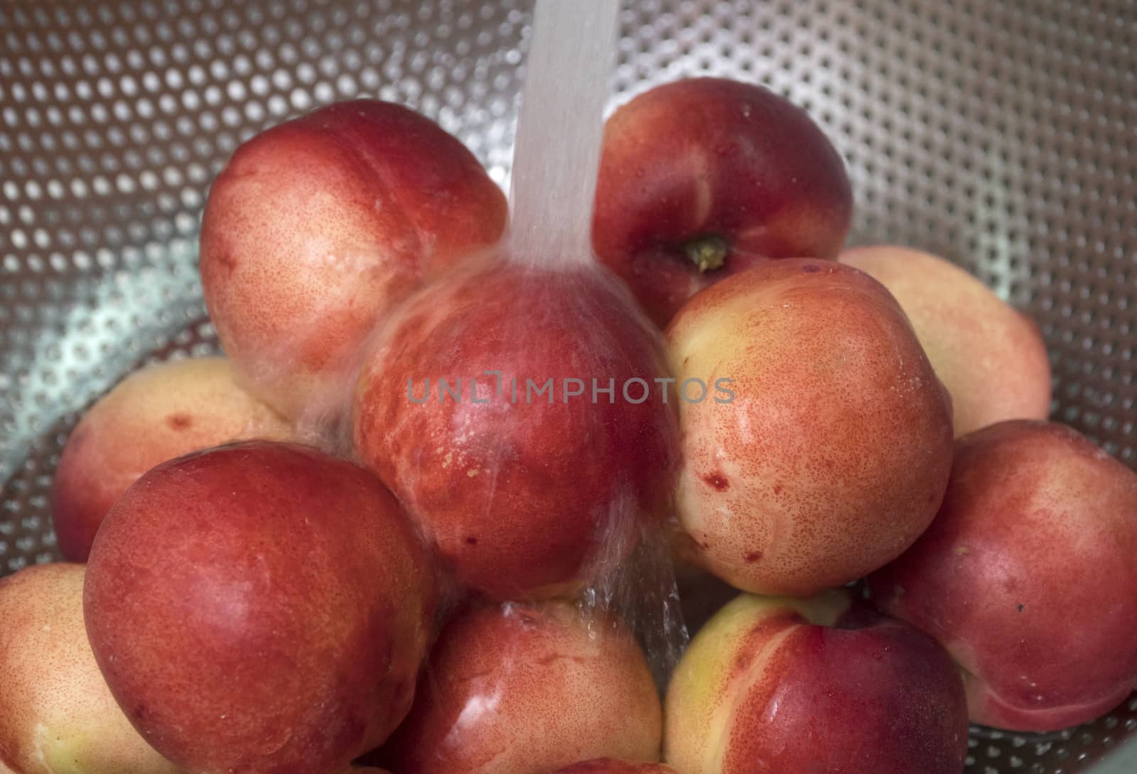 Peaches nectarine. Fresh red ripe nectarines washed under running water in a colander.