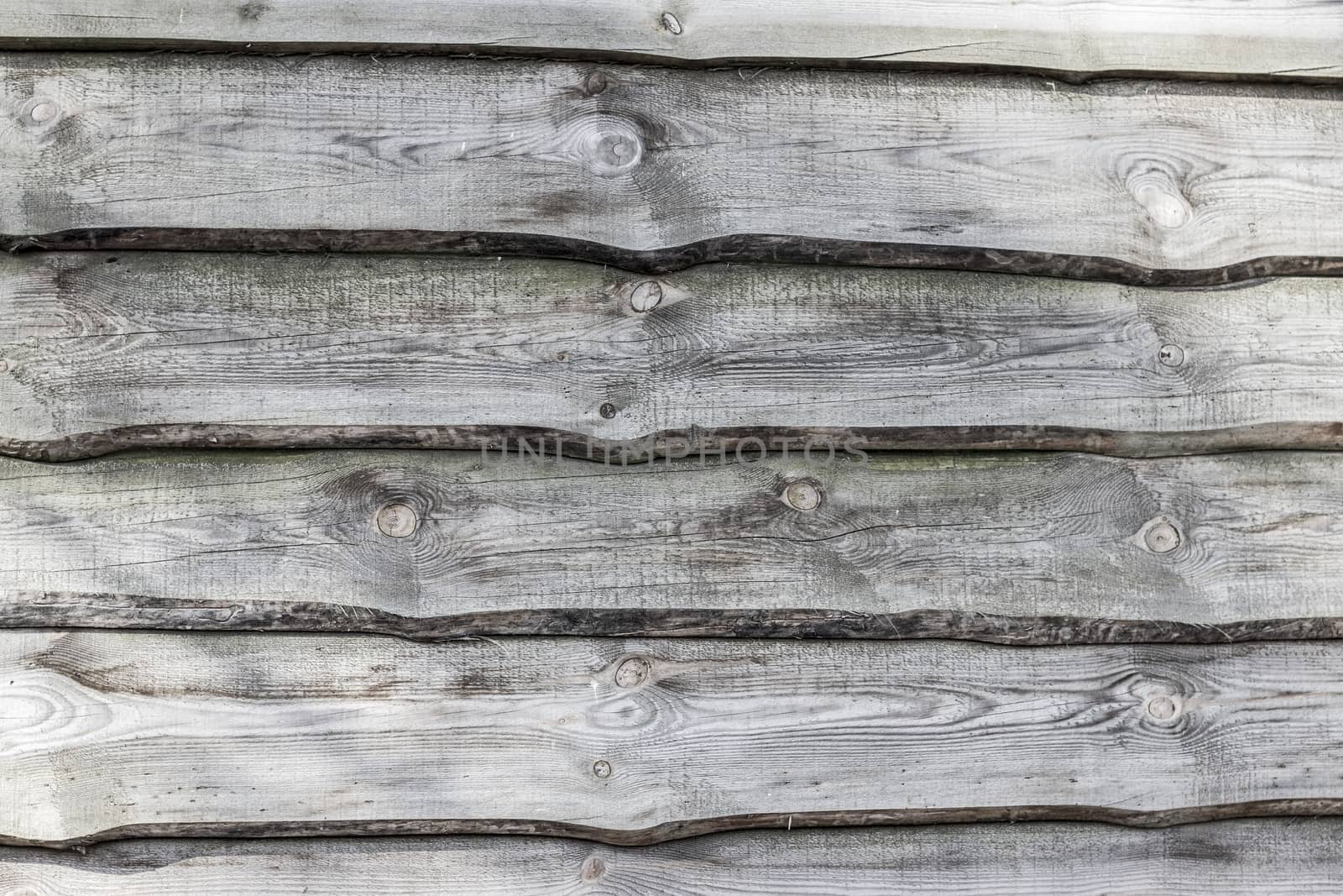 Gray color wood background. Wall floor or fence exterior design. Natural wooden material backdrop