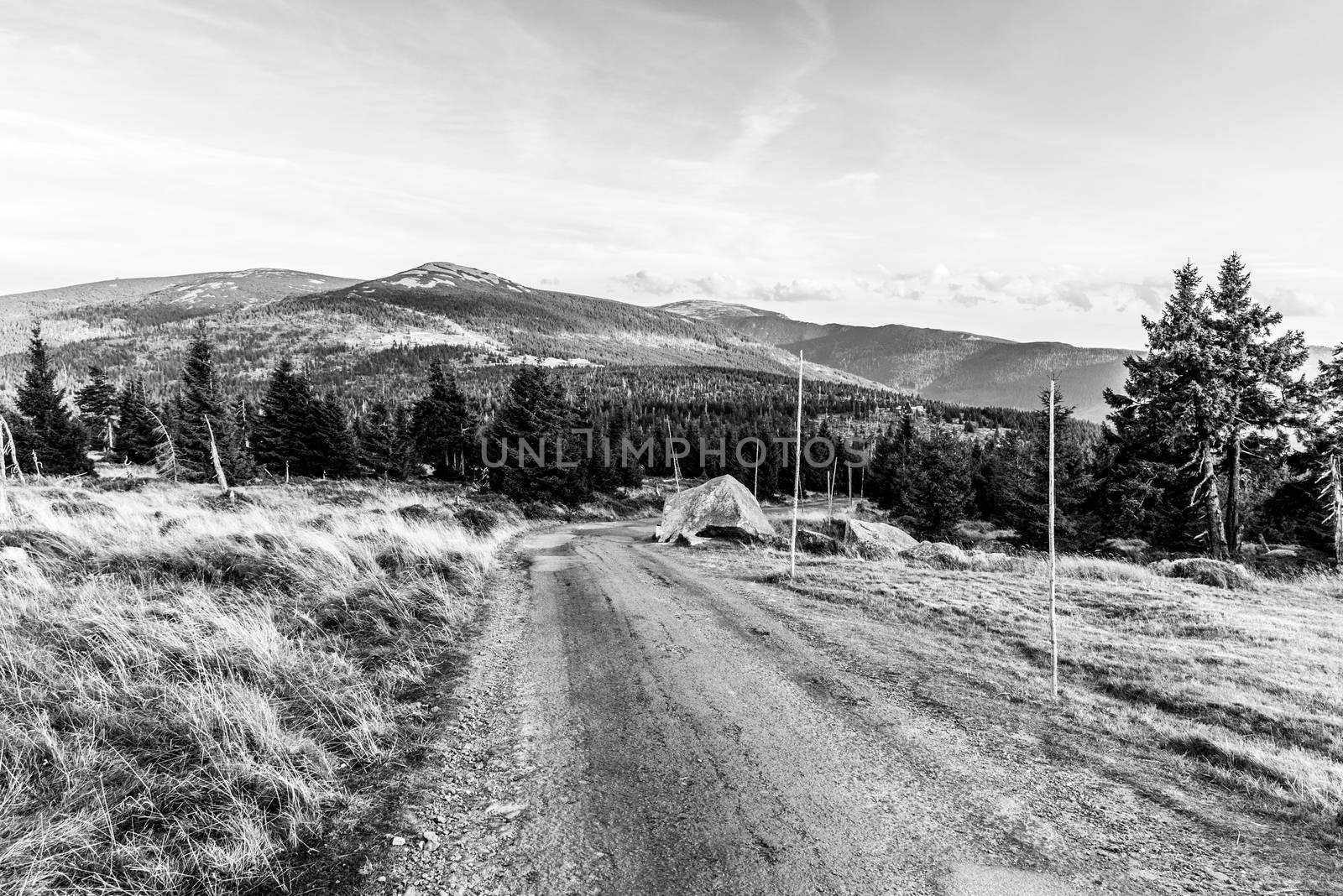 Tourist road in the middle of mountain landscape, Giant Mountains, Krkonose, Czech Republic by pyty