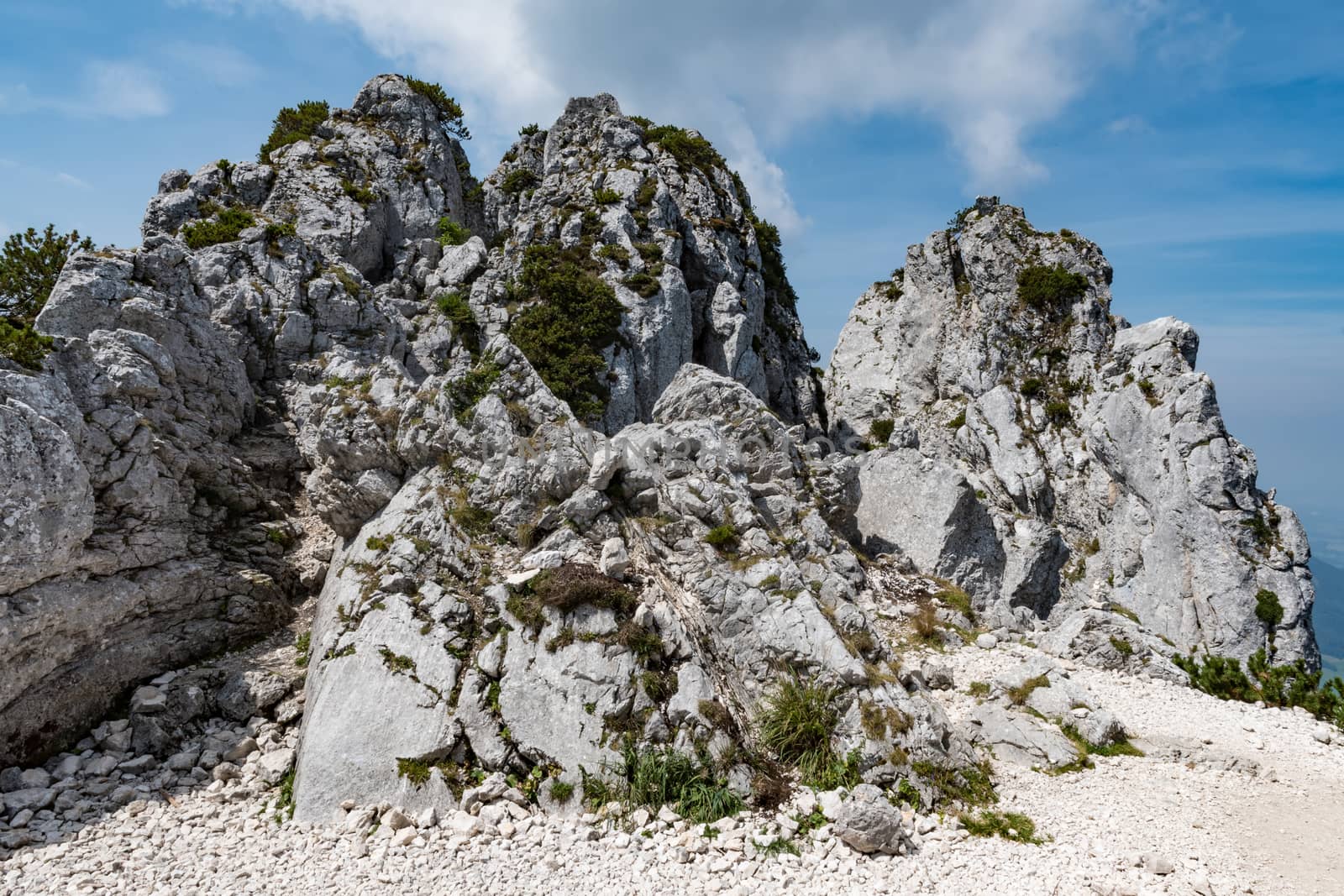 Beautiful landscape Kampenwand in Bavaria Alps in Summer