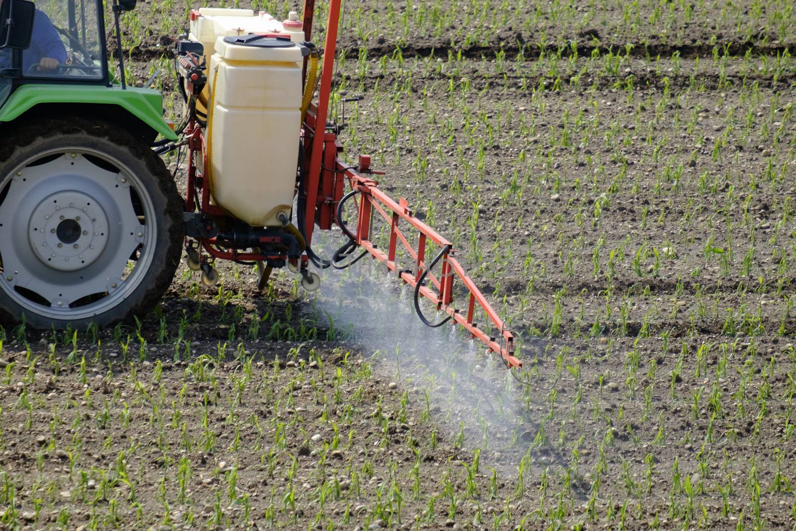 Tractor spraying pesticide on a field with young plants