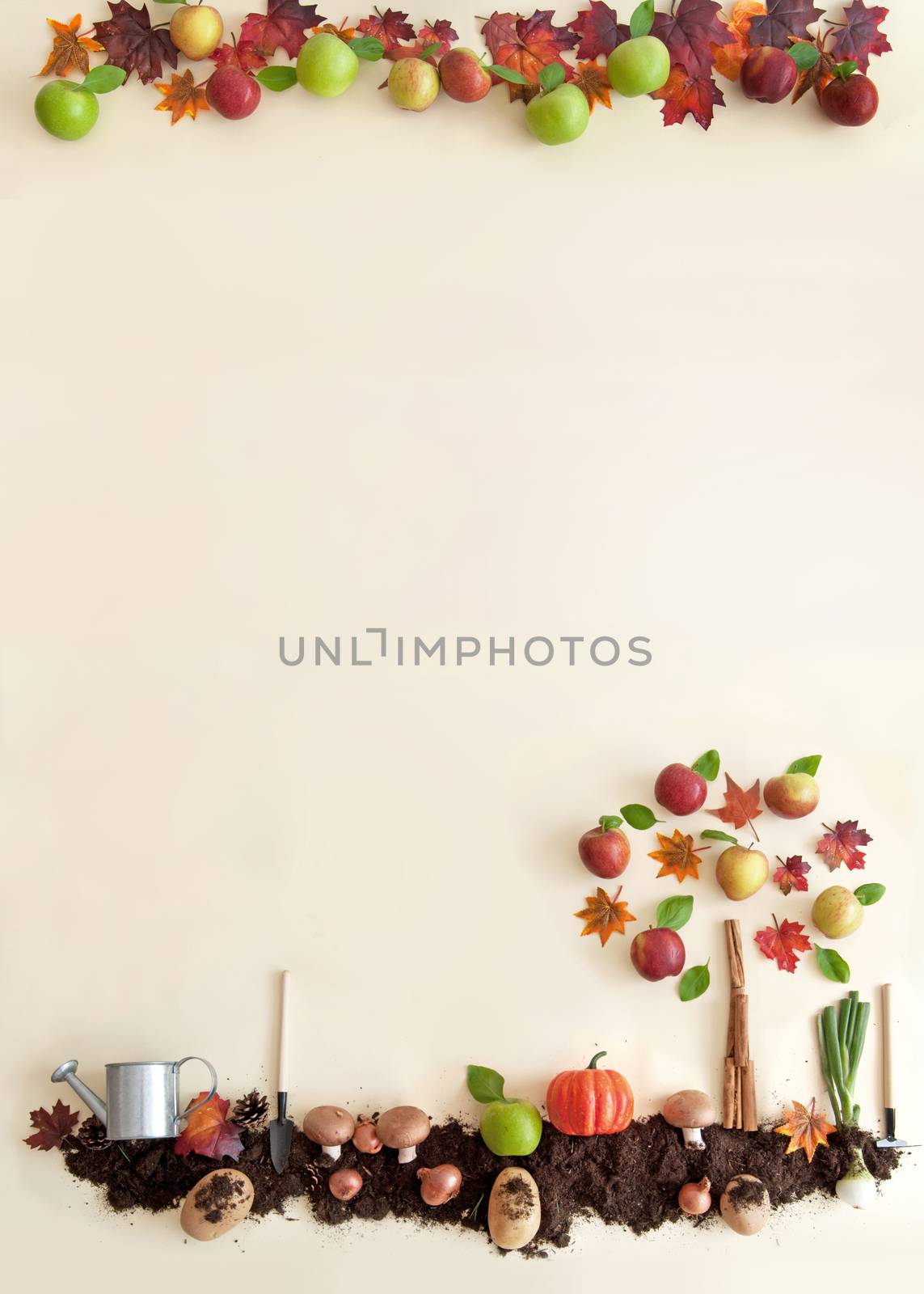 Autumn garden frame by unikpix