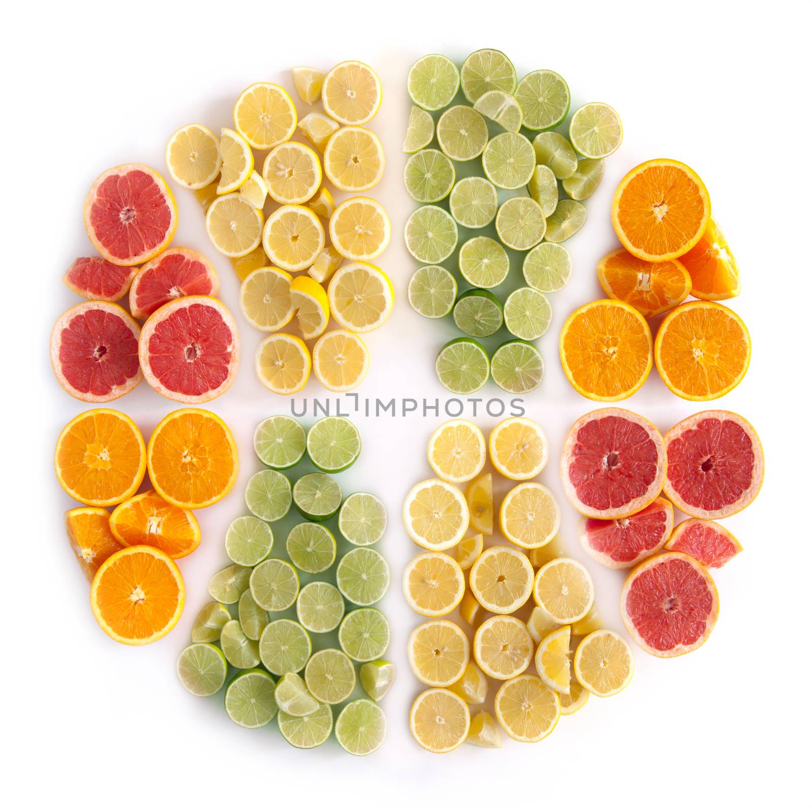 Many fruits in the shape of a sliced citrus including oranges, grapefruits, lemons and limes