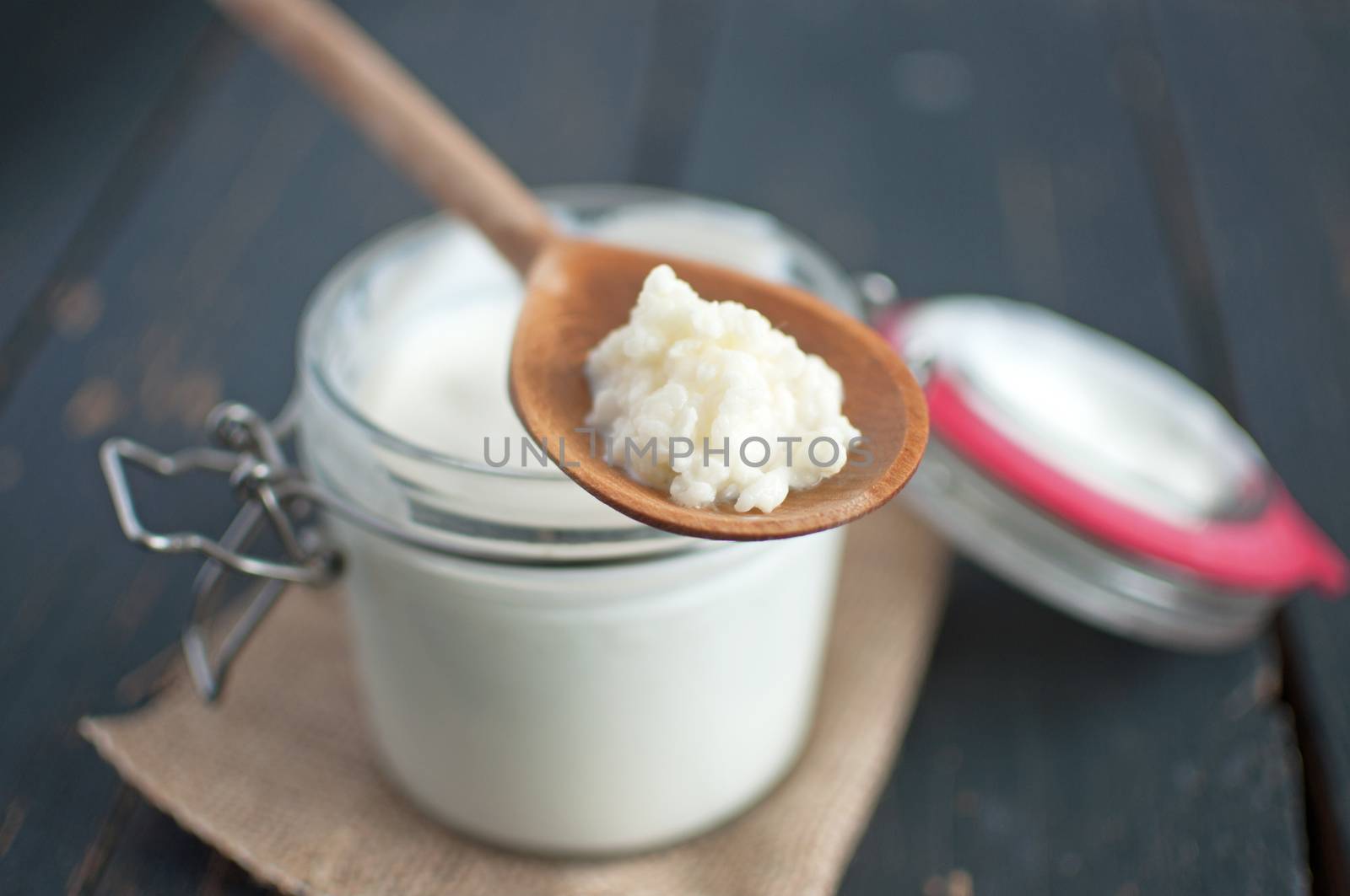 Closeup of kefir seeds on a wooden spoon