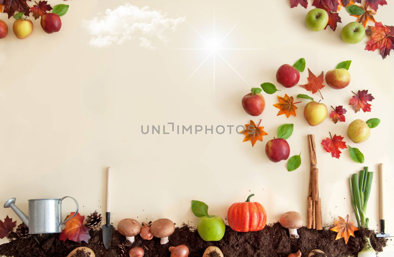Autumn fruits growing in soil patch with apple tree and space