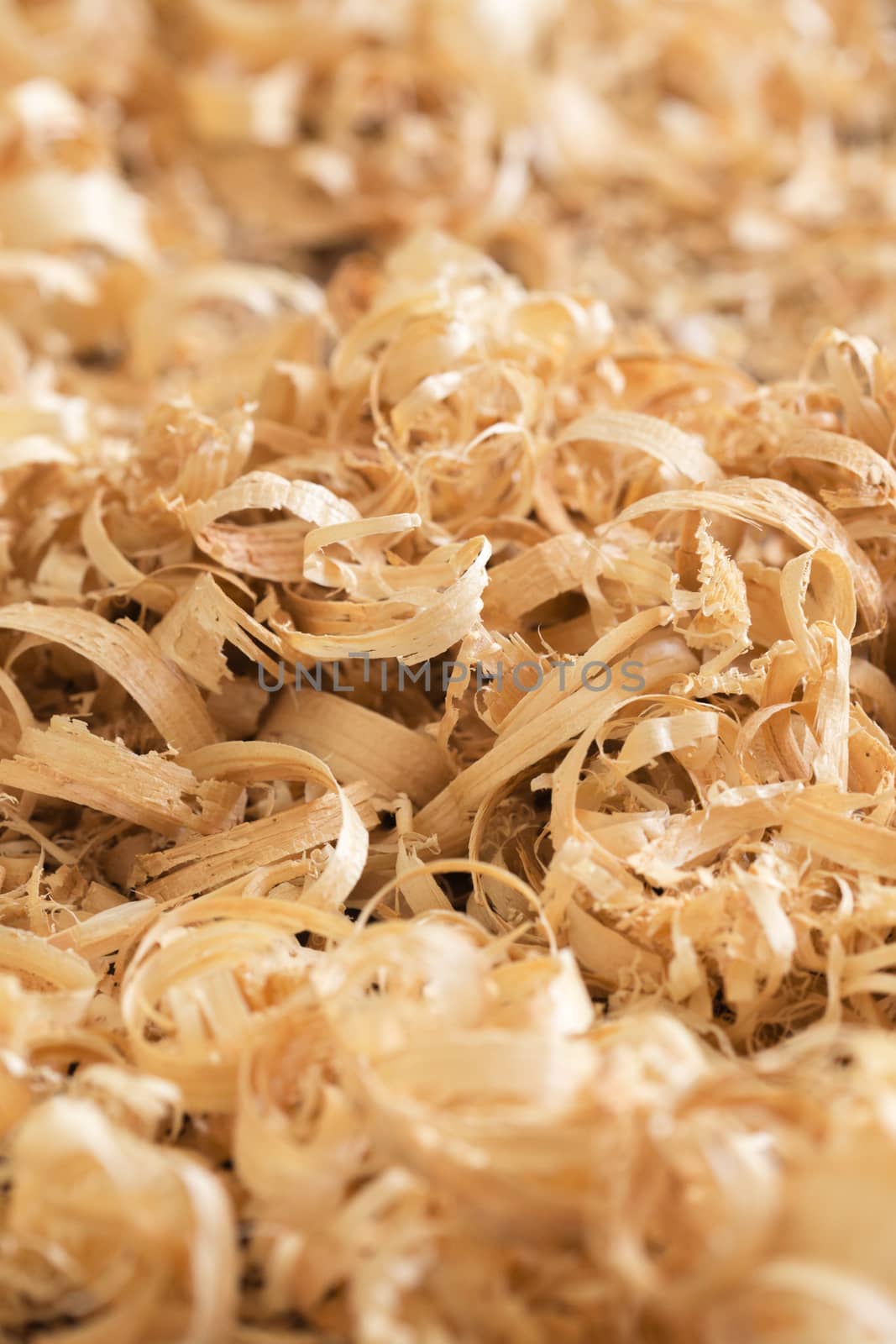 Close up view on wood shavings.