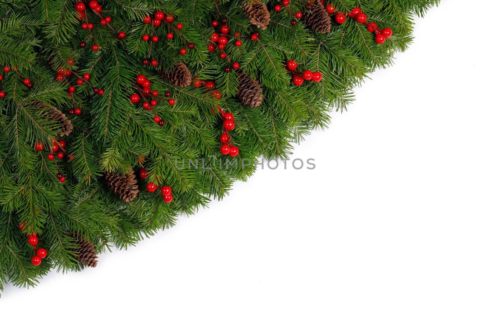 Christmas Border frame of tree branches red berries and pine cones on white background with copy space isolated
