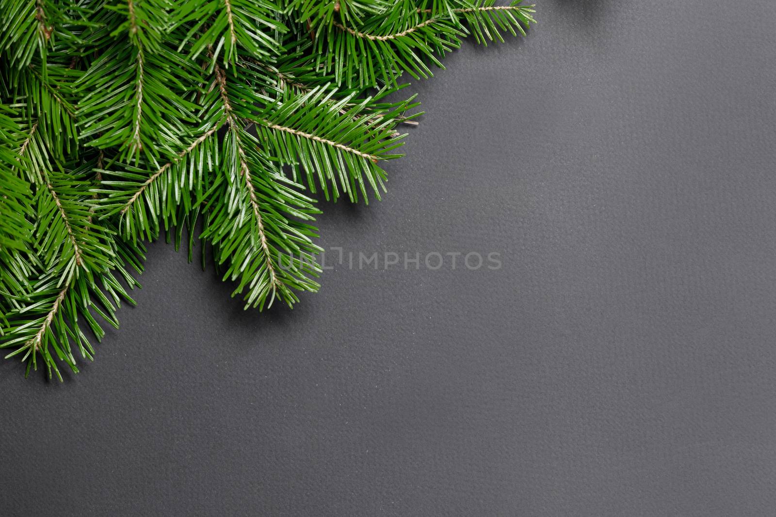Pine Christmas tree branches on black paper background flat lay top view mock-up