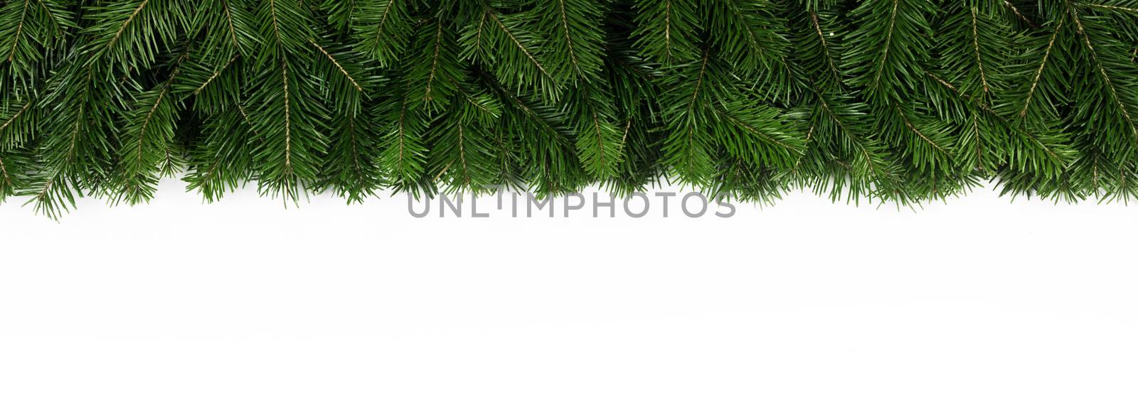 Natural fir Christmas tree border frame isolated on white , copy space for text
