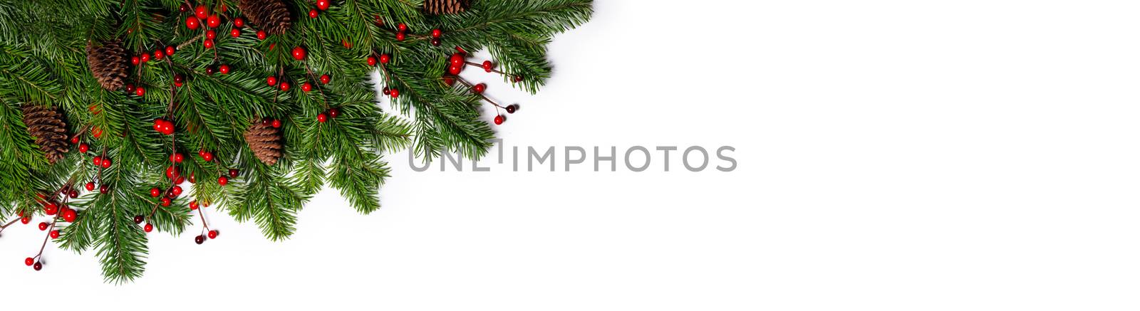Natural fir Christmas tree border frame isolated on white , copy space for text