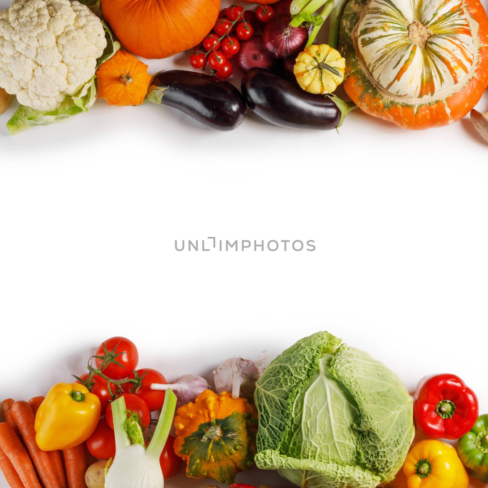 Harvest of many vegetables , top view flat lay background, white copy space for text
