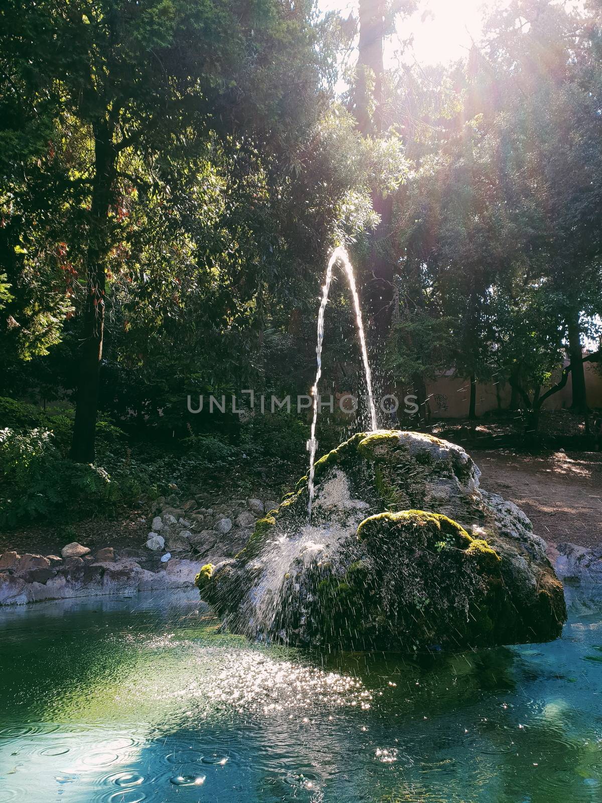 Rome Fountain 2