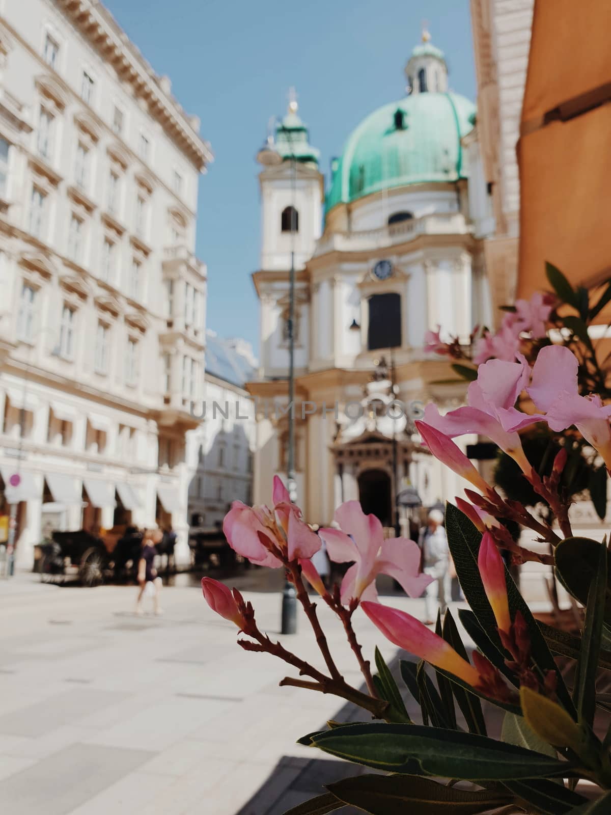 Vienna Flower Street