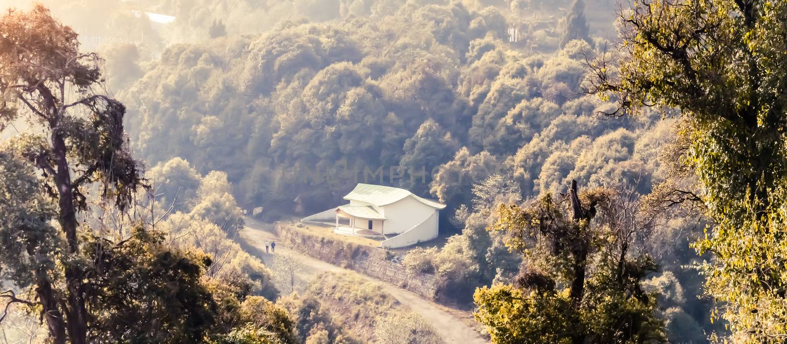 A beautiful wooden house surrounded by nature deep in the majestic forest and lush landscape. View from top of a hill in a rainforest wilderness fairy tate area of northeast india on sunny summer day.