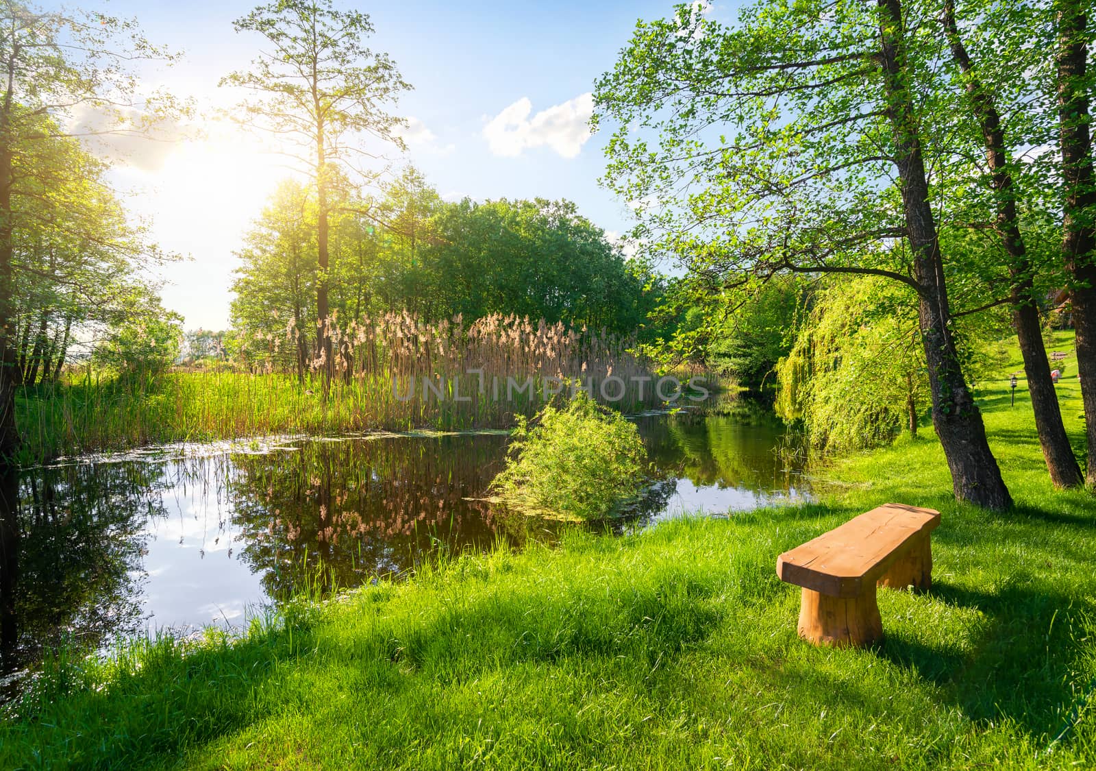 Wooden bench near river by Givaga