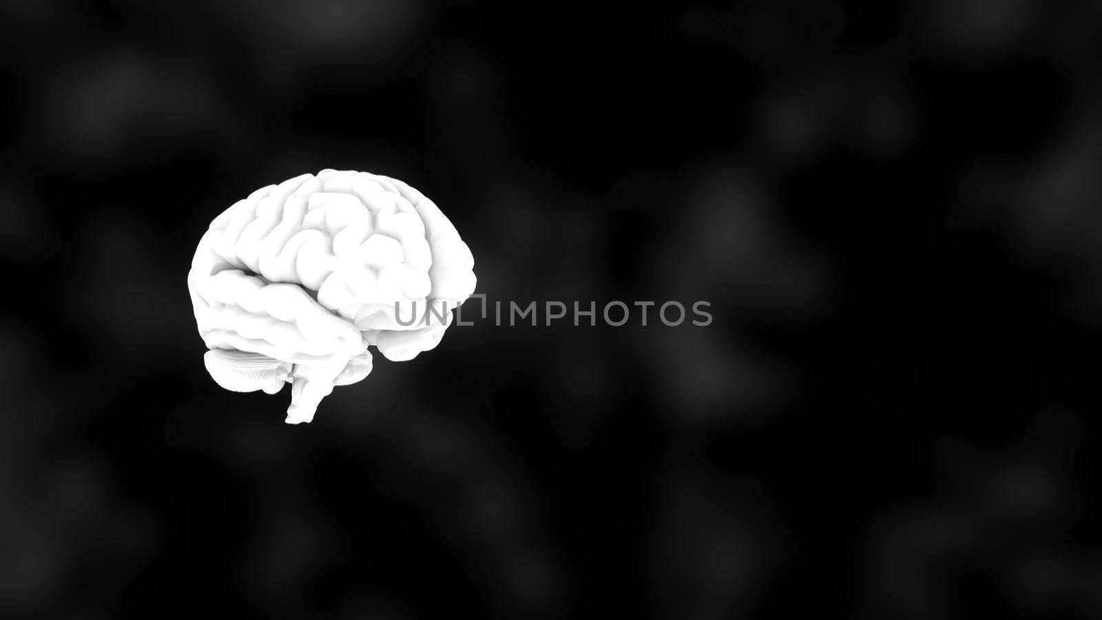 3D human white brain on black, science anatomy background, 3D rendering backdrop
