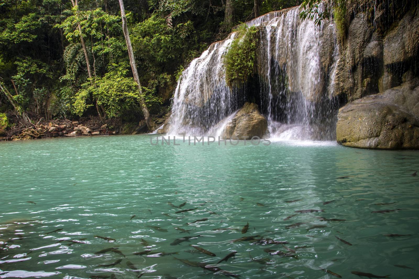 Beautiful landscape of Erawan falls at the national park of Kanchanaburi province, Thailand