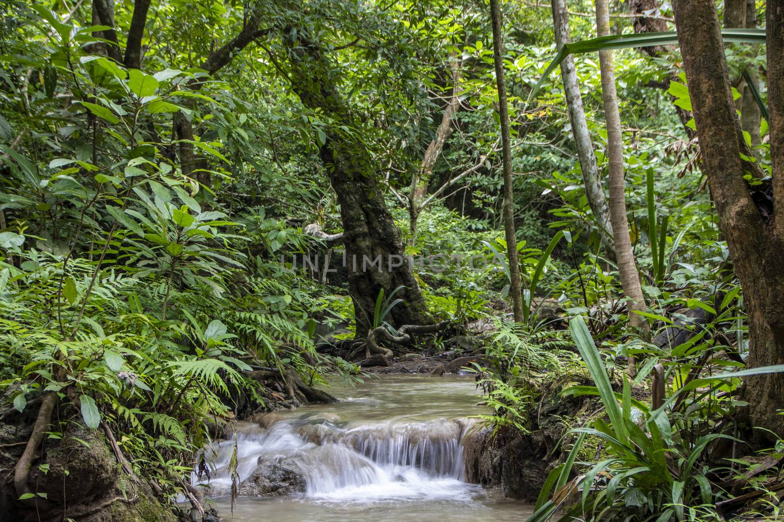 Beautiful landscape of Erawan falls at the national park of Kanchanaburi province, Thailand