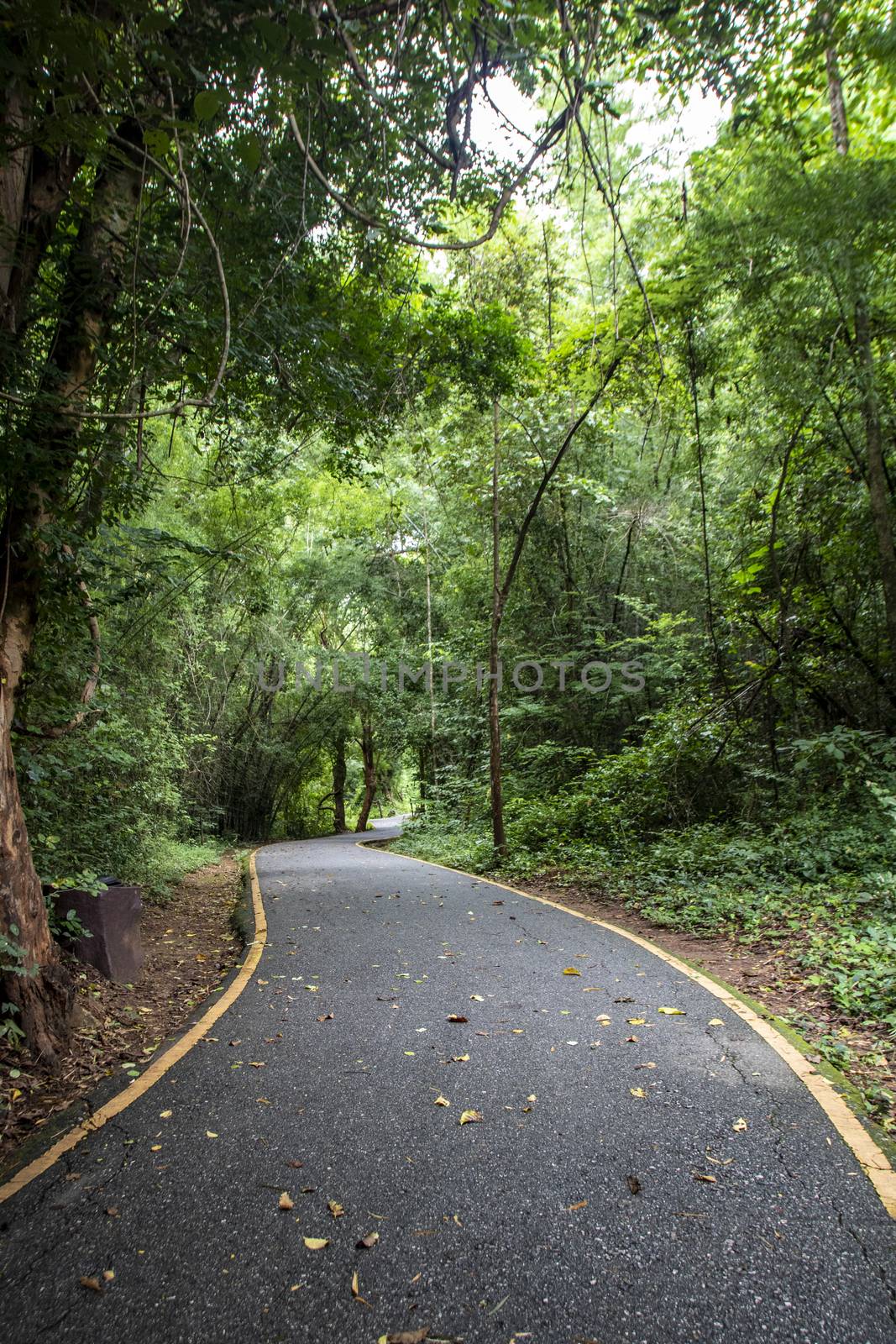Beautiful landscape of Erawan falls at the national park of Kanchanaburi province, Thailand