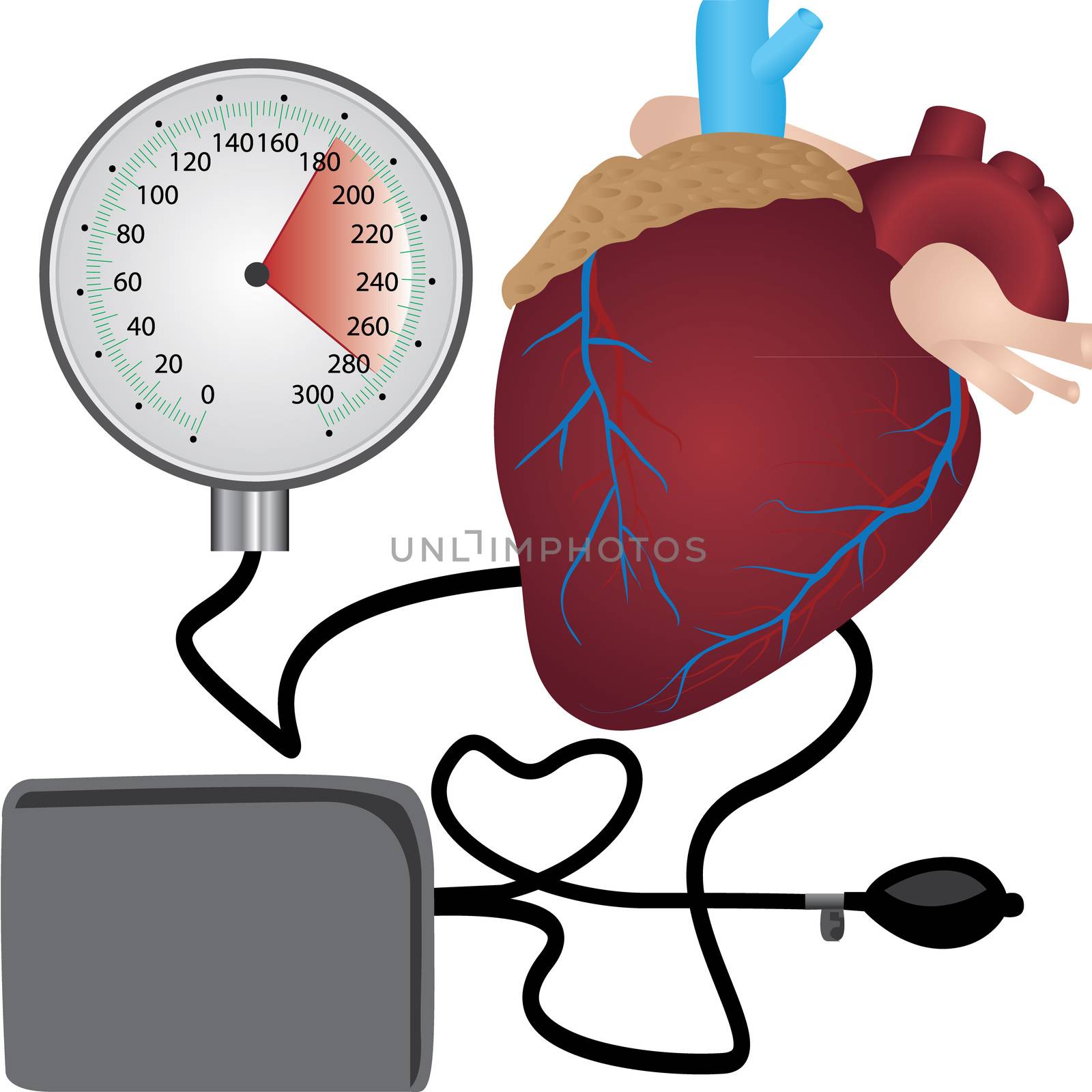 Blood pressure measuring  cardio exam  vector illustration on a white background