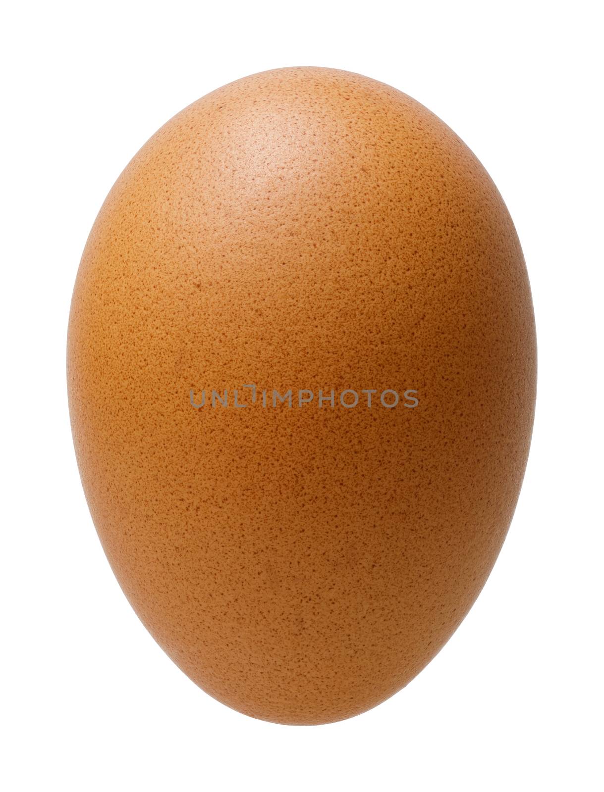 Chicken or hen egg isolated on white backgrund, deep focus stacking image, include pen tool clipping path
