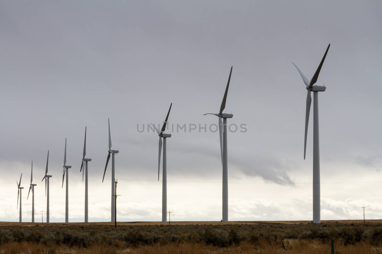 wind turbines after a storm