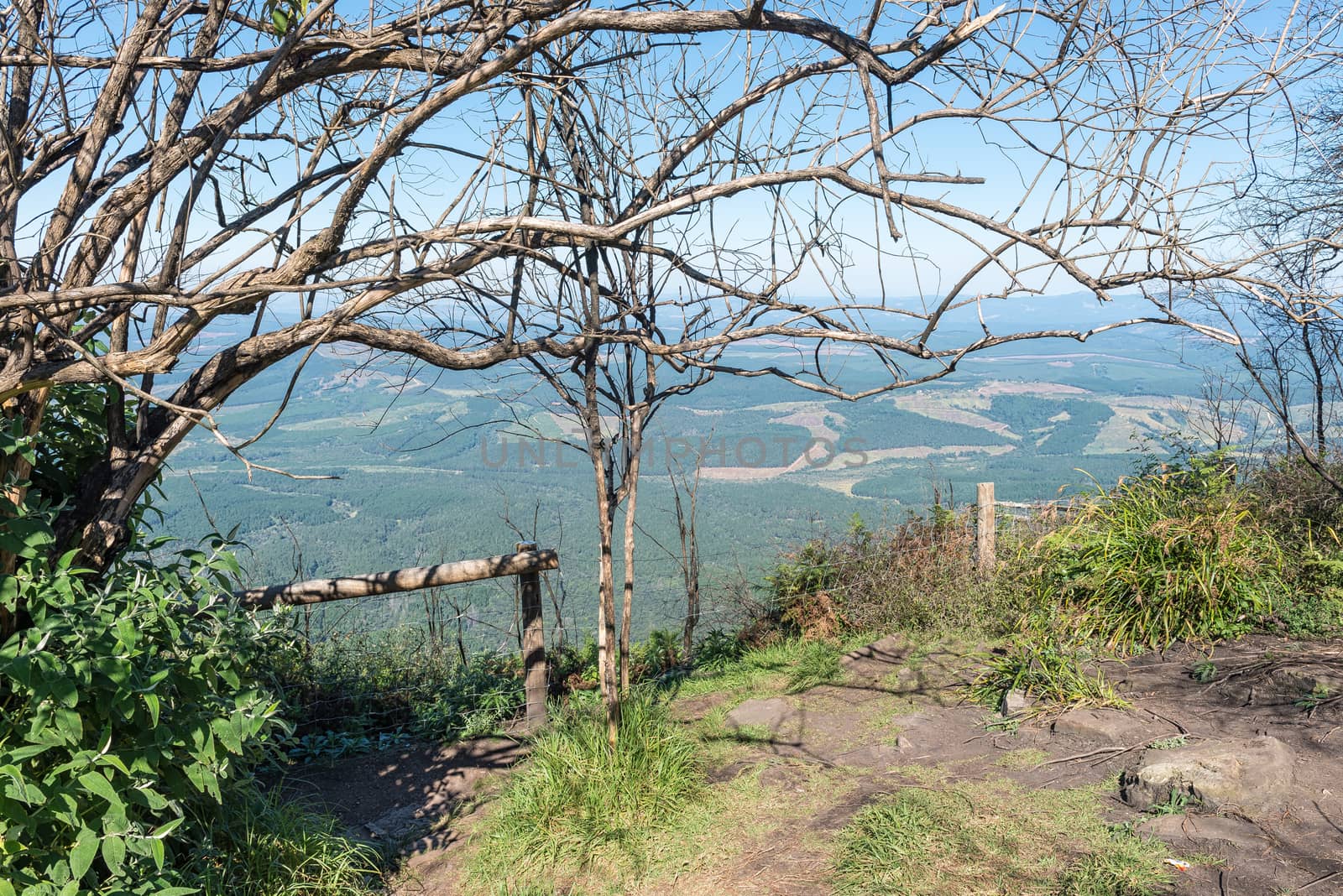 The viewpoint at Wonder View on road R534 near Graskop