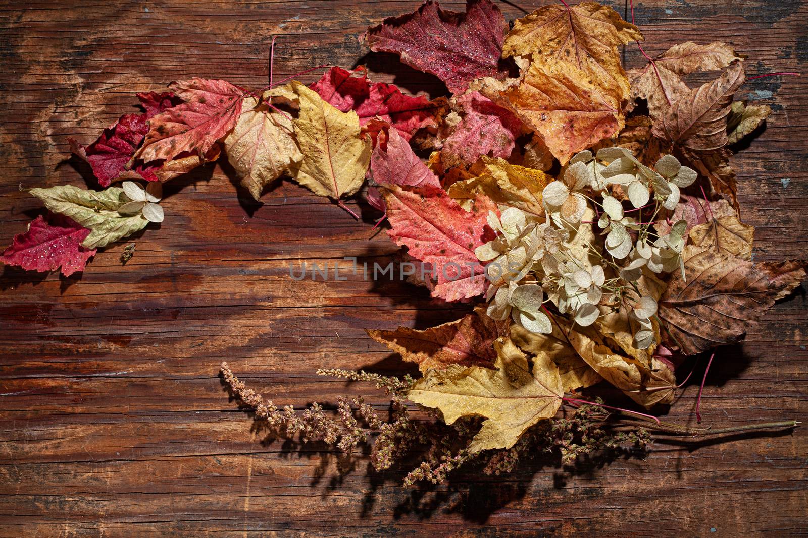 Dry leaves and flowers on a textured background