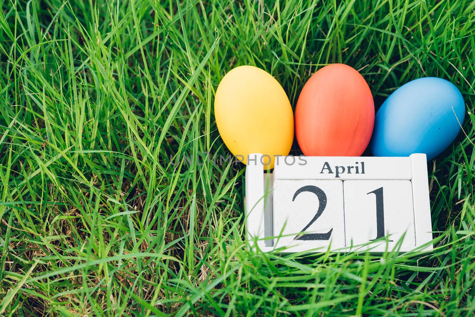 Easter egg on garden grass background, 21 April, Happy easter day concept