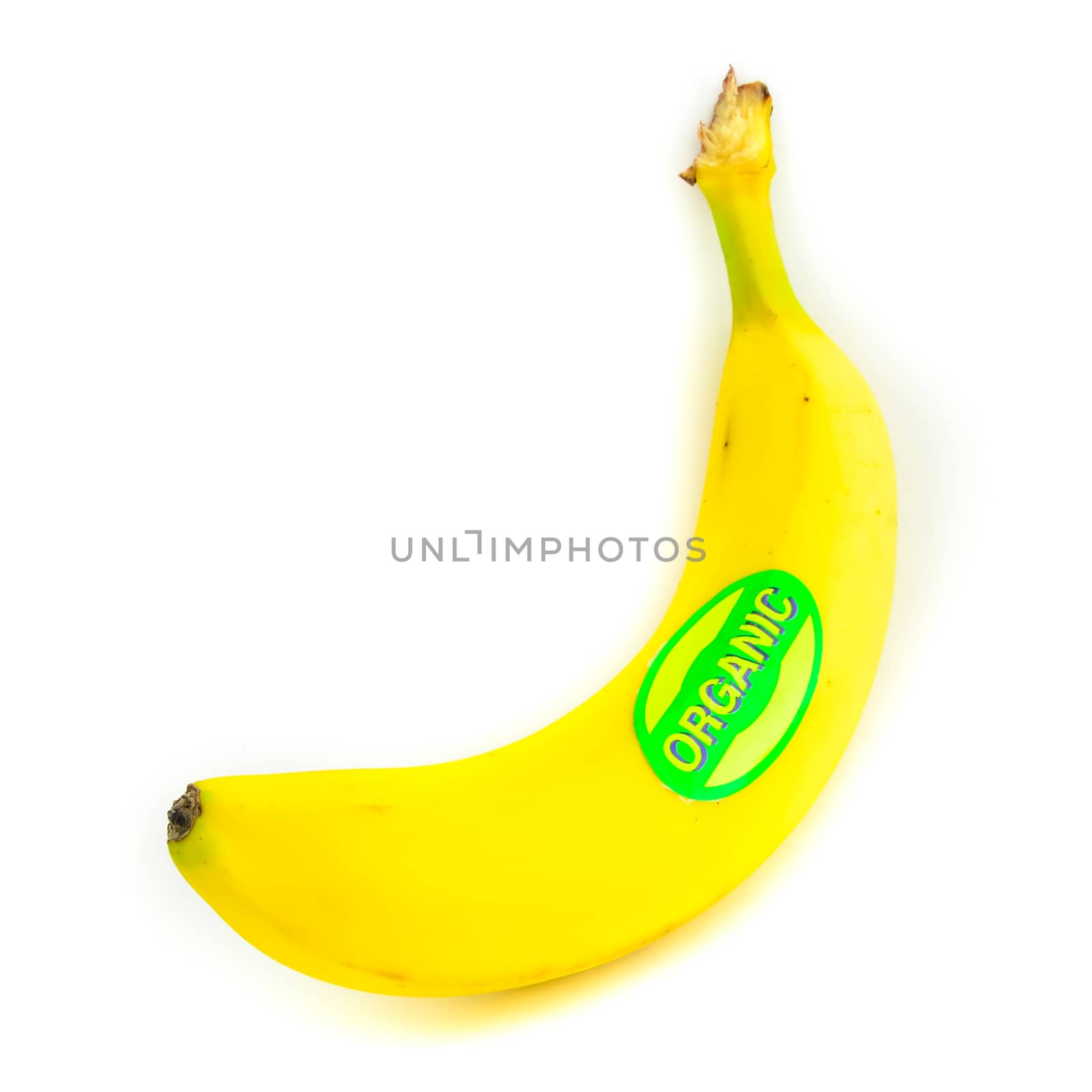 Single banana isolated on white background. One fresh banana with organic label signage, clipping path and copy space