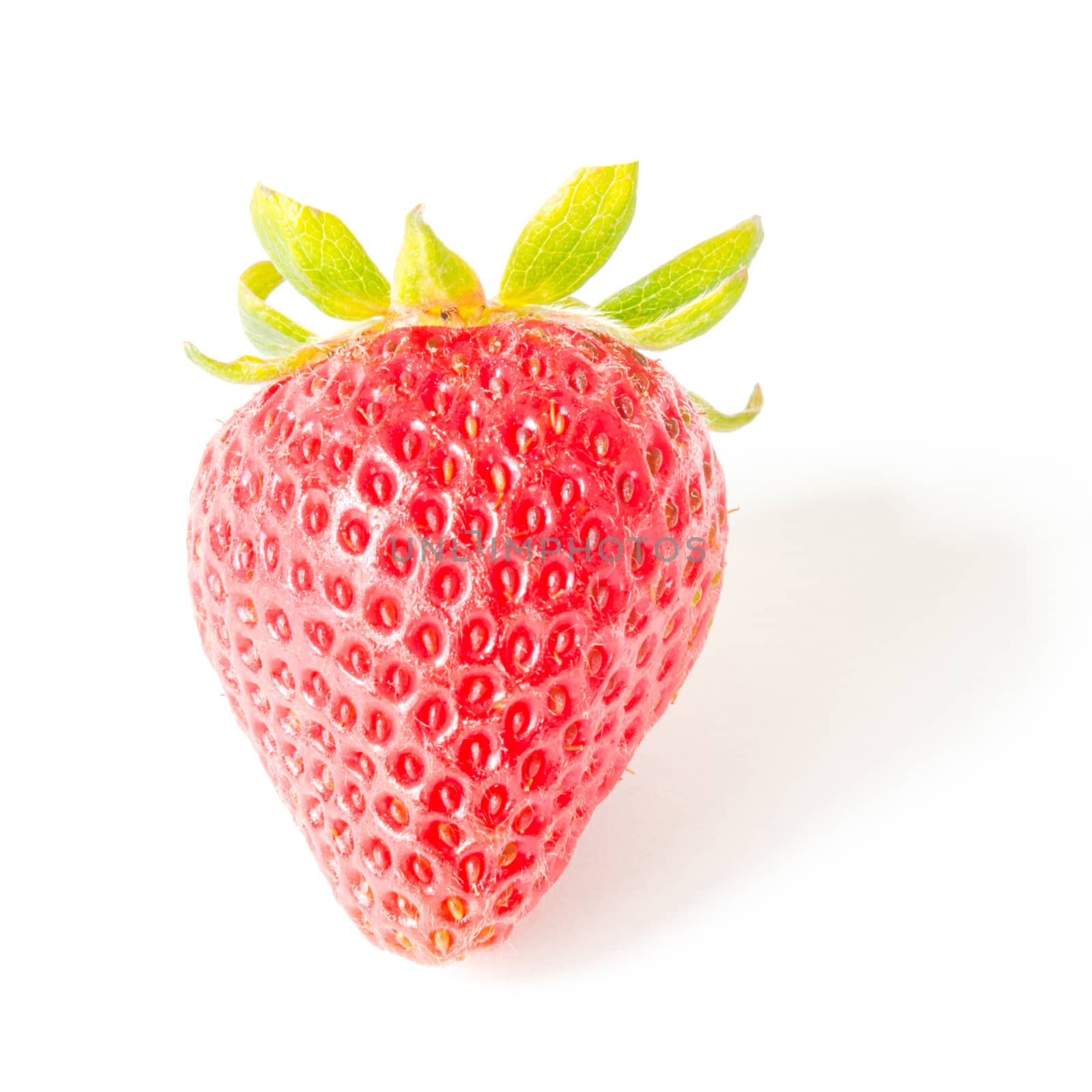 Close-up fresh picked single fresh strawberry isolated on white background. Organic red berry with clipping path and copy space