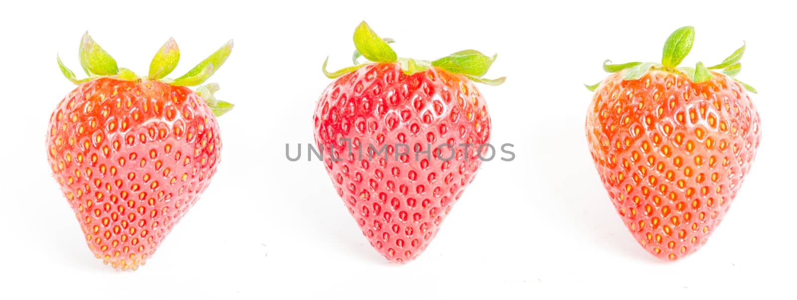 Row of three fresh strawberries isolated on white background. Organic red berry with clipping path and copy space